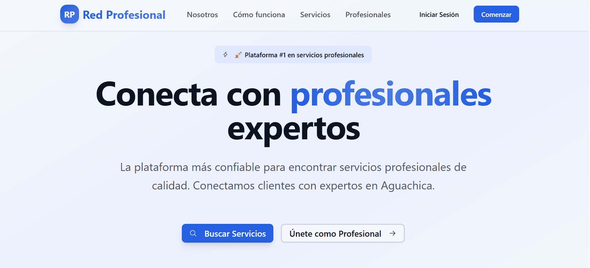 Red Profesional plataforma de servicios
